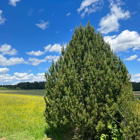 Vakantiehuis Starenweg 8
