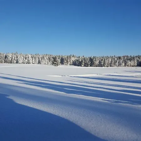 Starenweg 8 * Schramberg